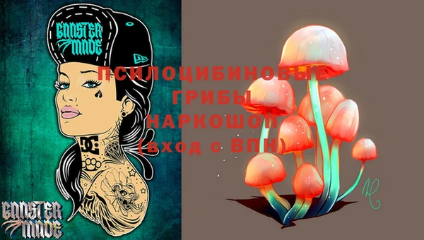 ГАЛЛЮЦИНОГЕННЫЕ ГРИБЫ Саяногорск