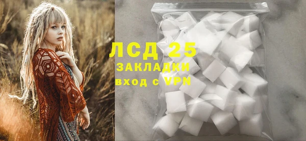 индика Алзамай